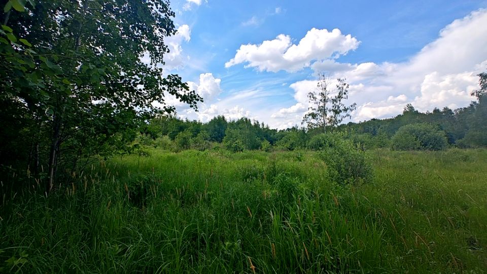 Działka budowlana Janinów