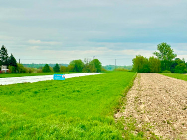 Działka Wyszogród