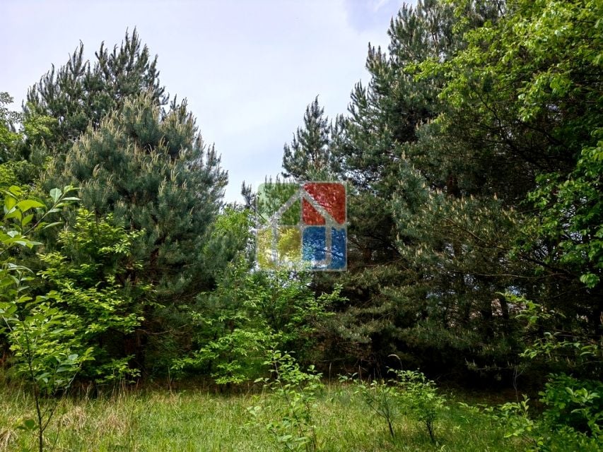 Zdjęcie 3