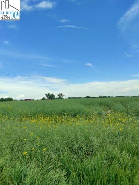 Działka budowlana Pniów