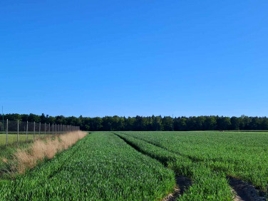 Działka budowlana Gałkówek-Kolonia