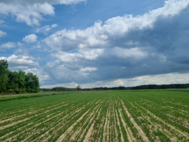 Działka budowlana sprzedam