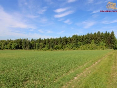 Ogrodzona działka sprzedam