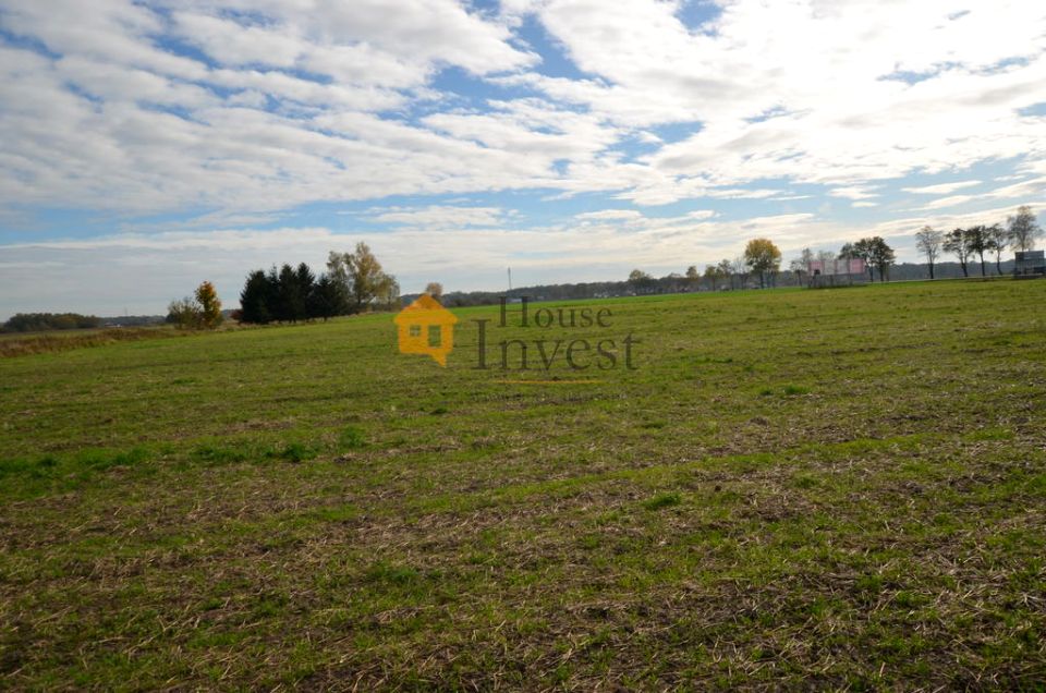 Działka przemysłowa Niemstów