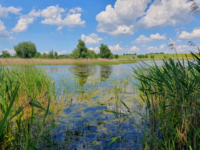 Działka rolna Zieleniewo sprzedam