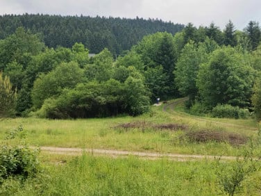 Działka budowlana Królowa Górna