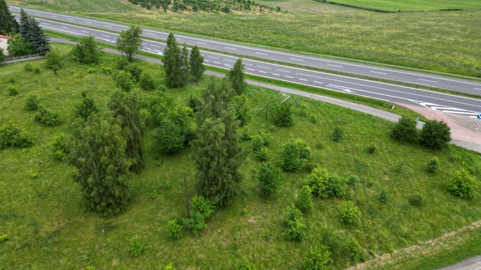 Działka inwestycyjna Tuszynek Majoracki