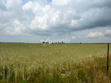 Działka inna Rudka Kozłowiecka