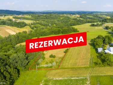 Działka Zalasowa