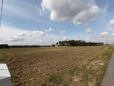 Działka budowlana Odrowąż