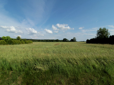 Działka budowlana Karczów