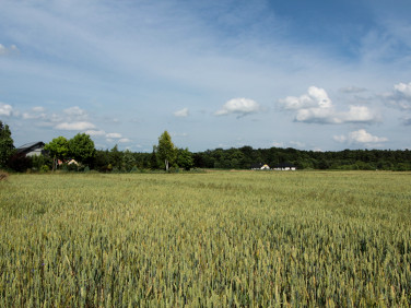 Działka budowlana Karczów sprzedam