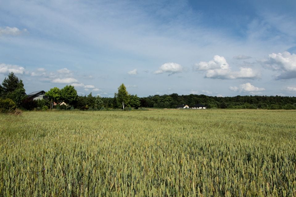 Działka budowlana Karczów sprzedam