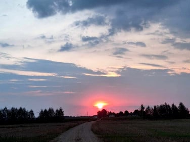 Działka rekreacyjna Marszewska Kolonia sprzedam