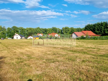 Działka budowlano-rolna Nasutów