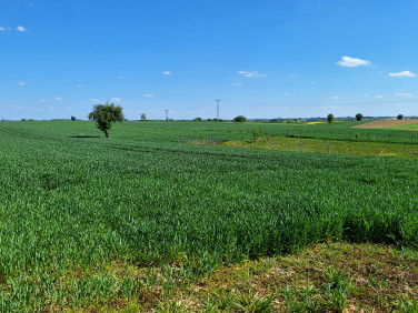 Działka budowlana sprzedam