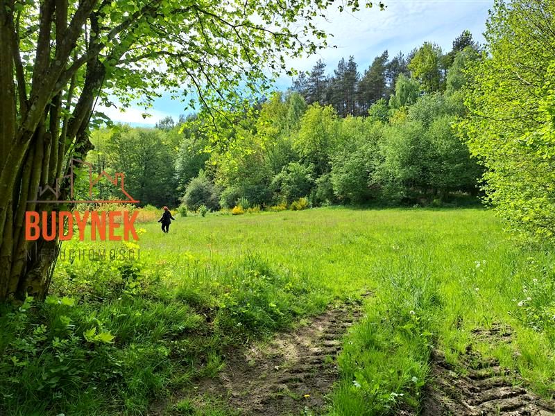 Działka Paproty