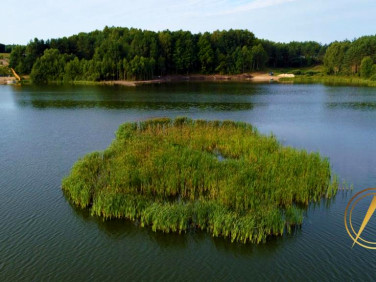 Działka Przęsin