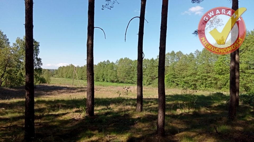 Działka budowlana Cierpice