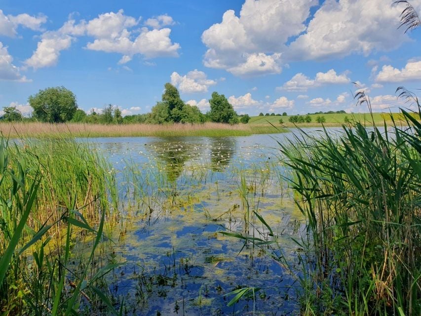 Działka przy lesie