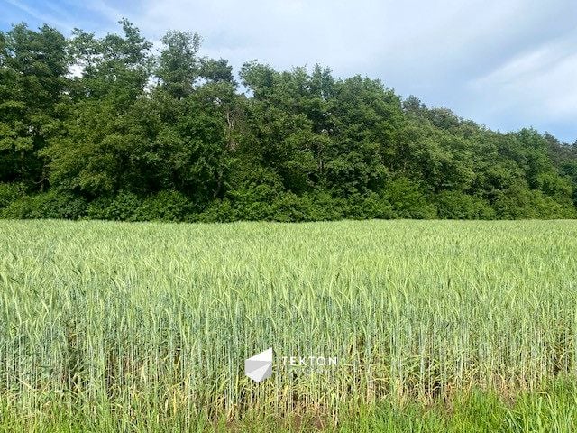 Działka budowlana Karczów sprzedam