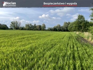 Działka budowlana Gdańsk sprzedam