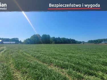 Działka przemysłowa Bojano sprzedam