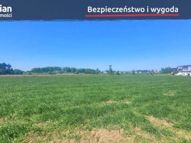 Działka Bojano