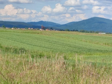 Działka budowlana Sienna