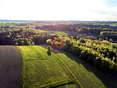 Działka Szkodna