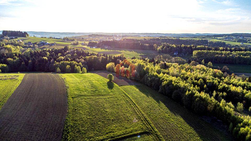 Działka Szkodna