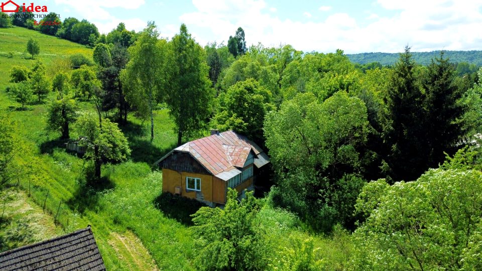 Dom Witryłów
