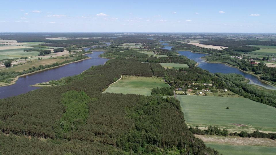 Działka rekreacyjna Wilczyn sprzedam