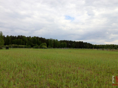 Działka budowlana Walne sprzedam