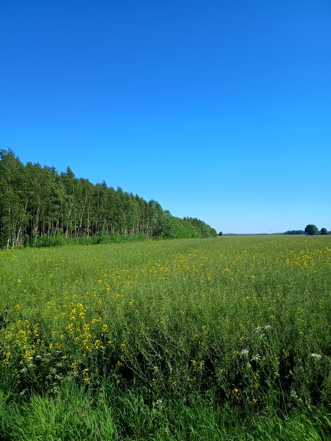 Działka rolna Krępa Kaszubska