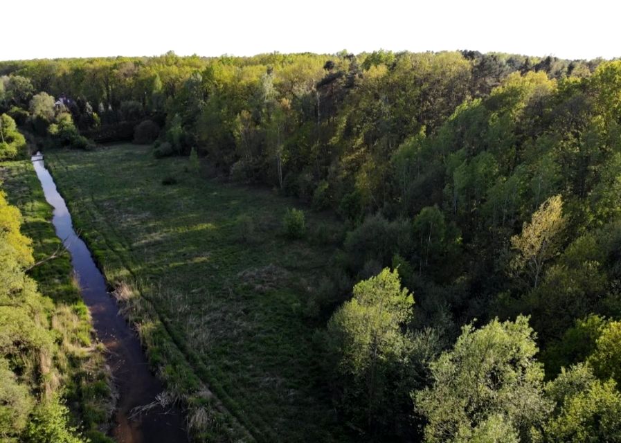 Działka siedliskowa Zalesie Górne