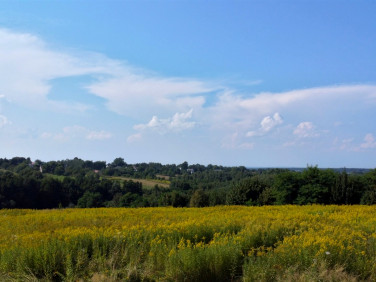 Działka Sufczyn