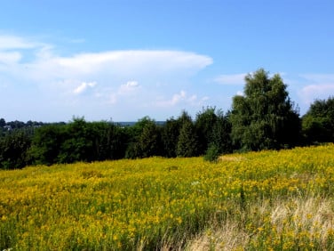 Działka Sufczyn