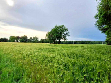 Działka budowlano-rolna Jasienie