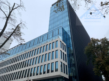 Lokal Warszawa