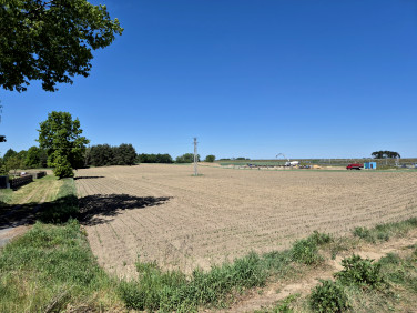 Działka przemysłowa Mianowice