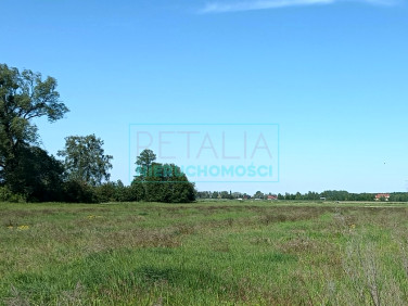 Działka budowlana Chyliczki sprzedam