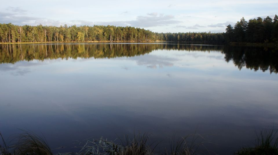 Działka rolna Pajtuny