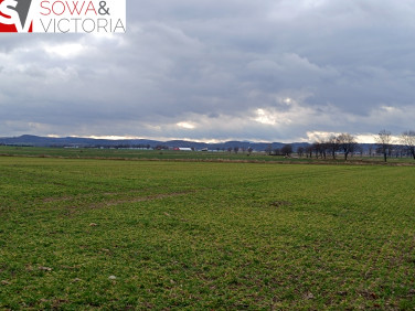 Działka budowlana Olszany