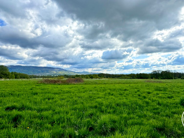 Działka Buczkowice