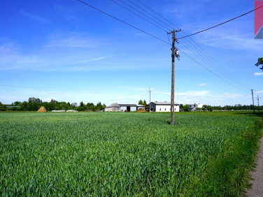 Działka Paproć