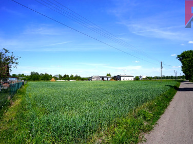 Działka Paproć