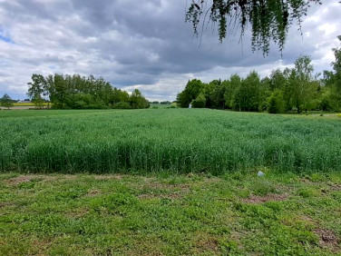 Działka budowlana Podrogów
