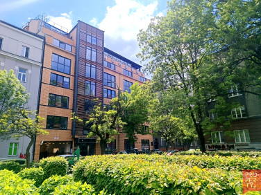Lokal Kraków
