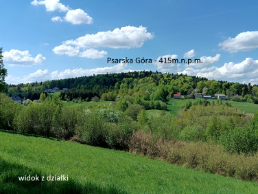 Zalesiona działka Święta Katarzyna